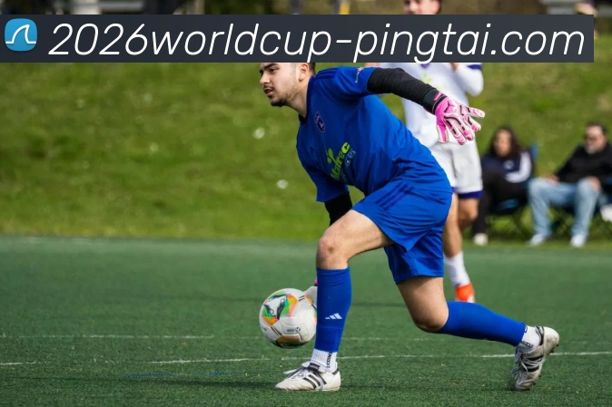 世界杯平台平台生态图